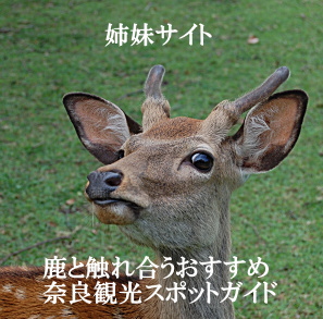 鹿と触れ合うおすすめ奈良観光スポットガイド